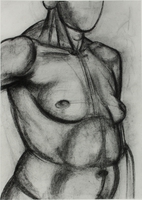 Halbakt, SS 1949, Kohle, 61&nbsp;x&nbsp;42,5&nbsp;cm, Klasse Prof. Elisabeth Voigt,Privatbesitz